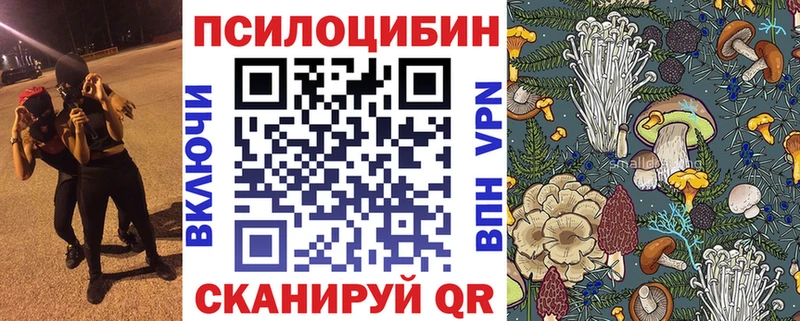 где найти   Светлоград  Псилоцибиновые грибы ЛСД 